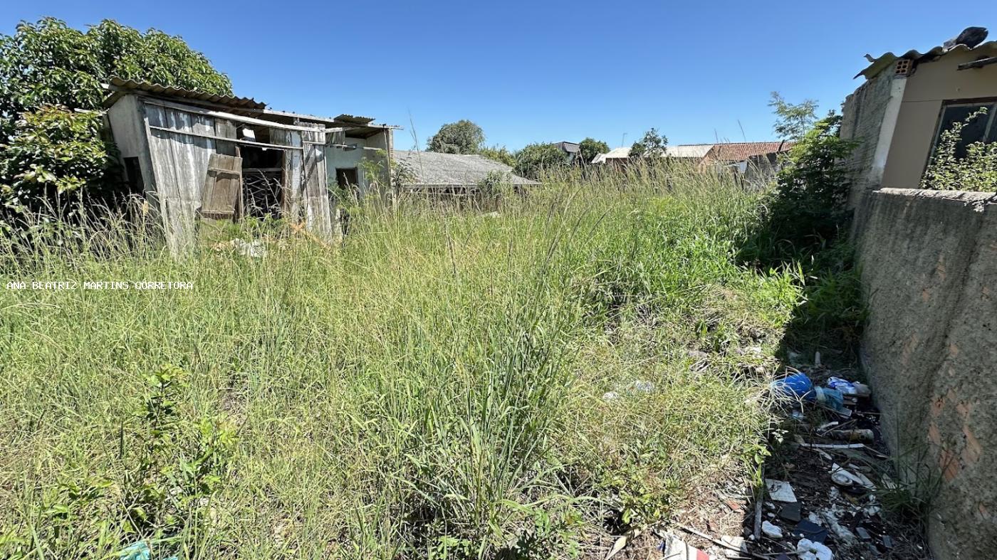 Terreno, 391 m² - Foto 3