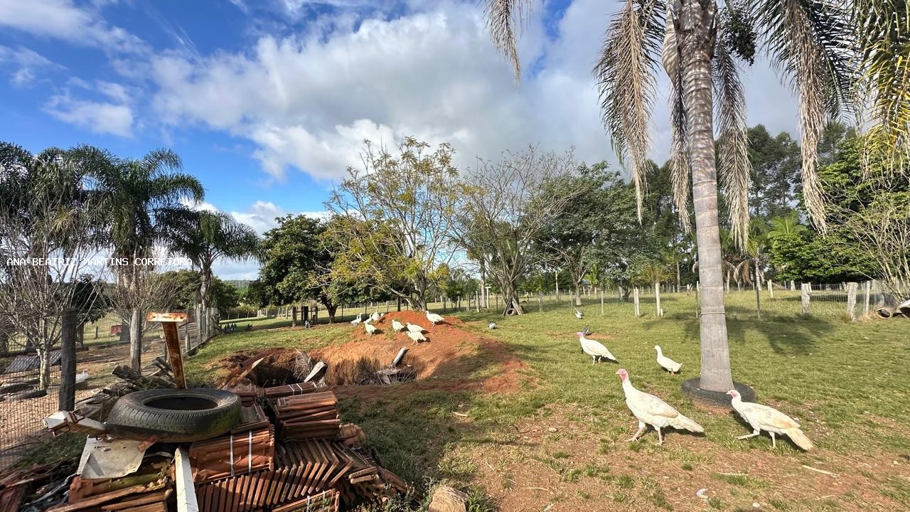 Sítio, 2 quartos, 3 hectares - Foto 21