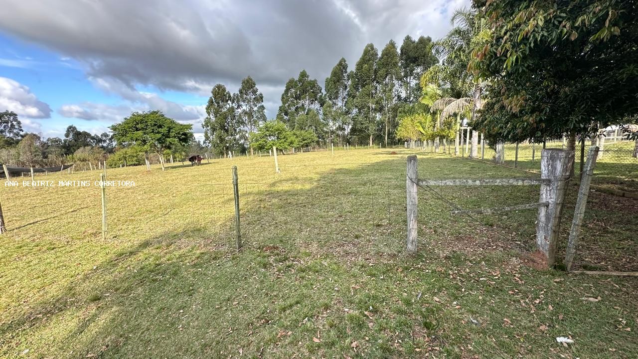 Sítio, 2 quartos, 3 hectares - Foto 15