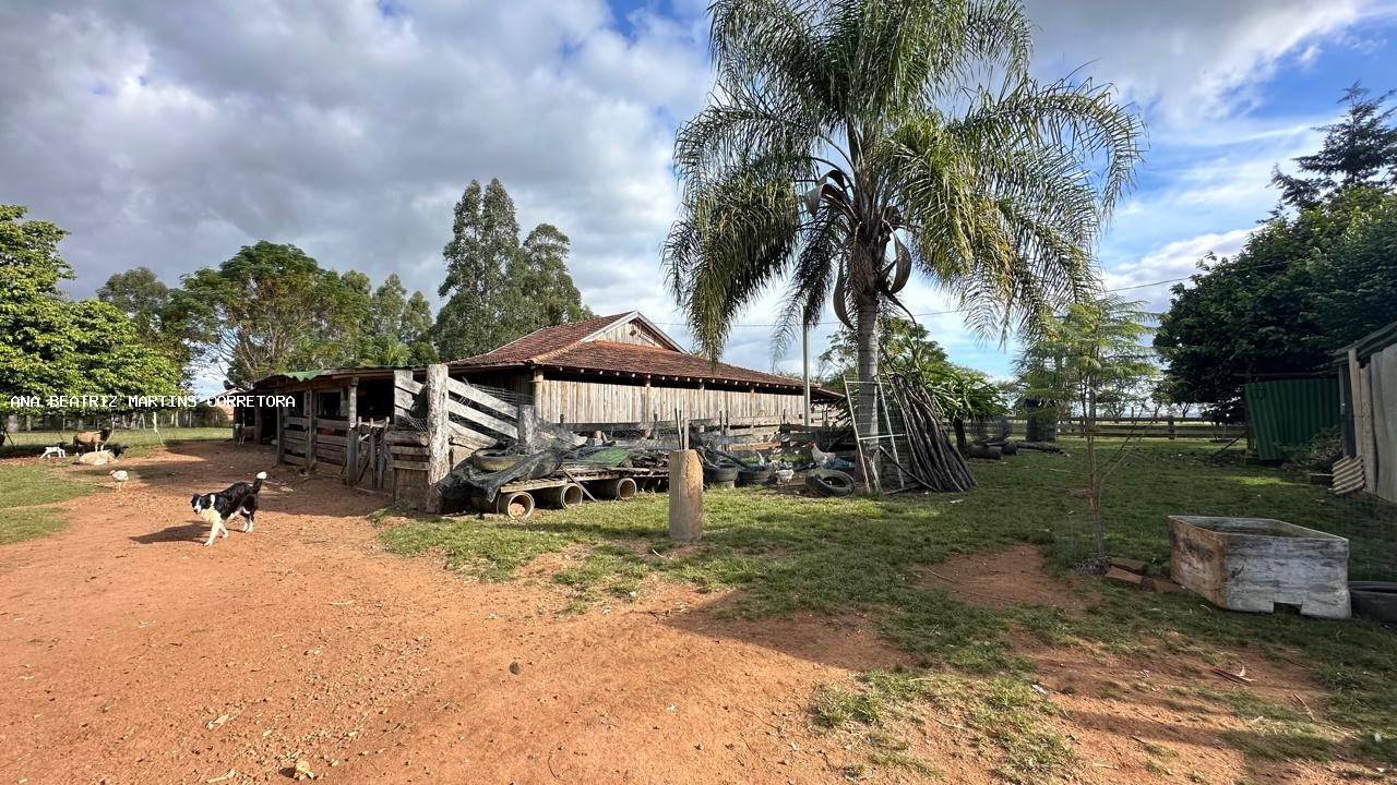 Sítio, 2 quartos, 3 hectares - Foto 22