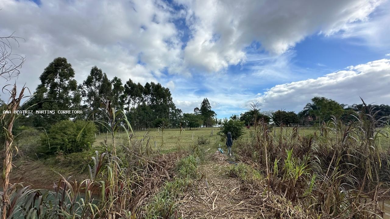 Sítio, 2 quartos, 3 hectares - Foto 33