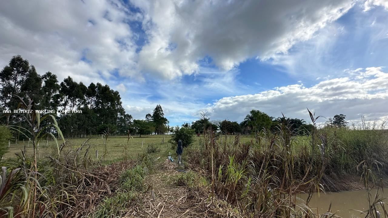 Sítio, 2 quartos, 3 hectares - Foto 34