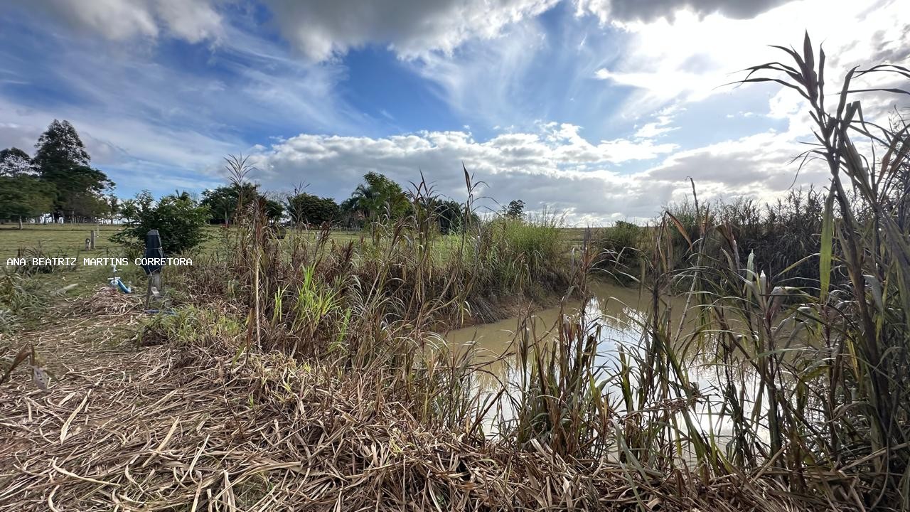 Sítio, 2 quartos, 3 hectares - Foto 35