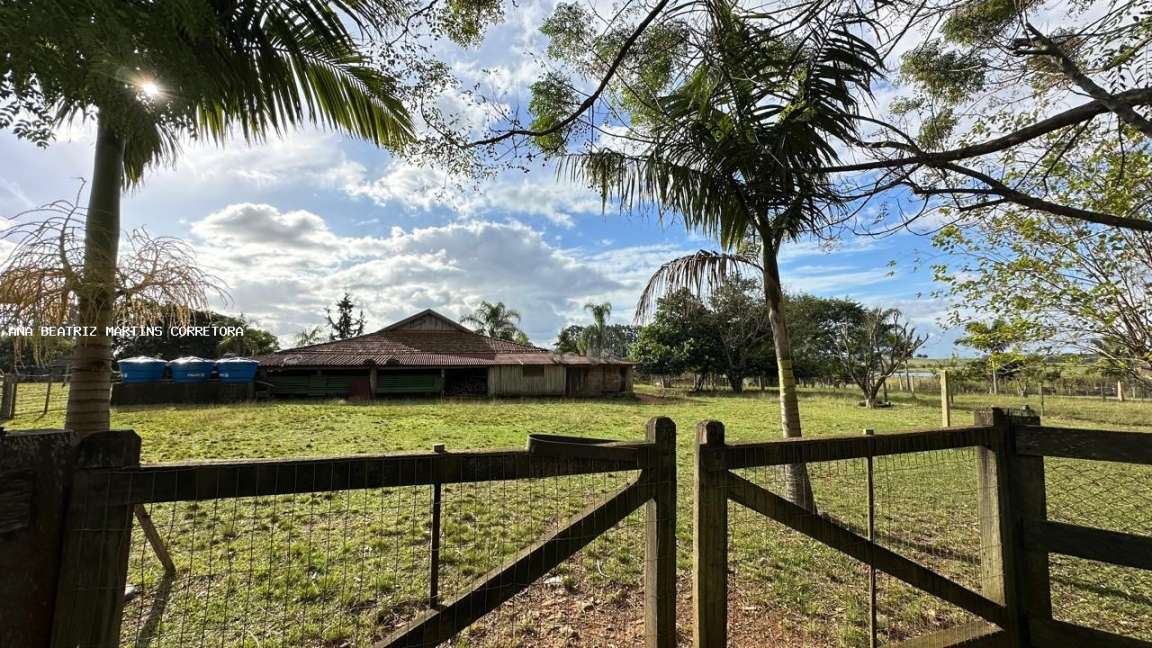 Sítio, 2 quartos, 3 hectares - Foto 25