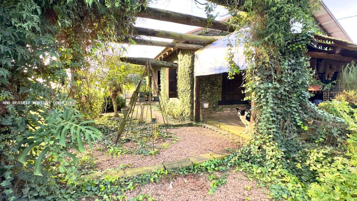 Sítio, 2 quartos, 3 hectares - Foto 31