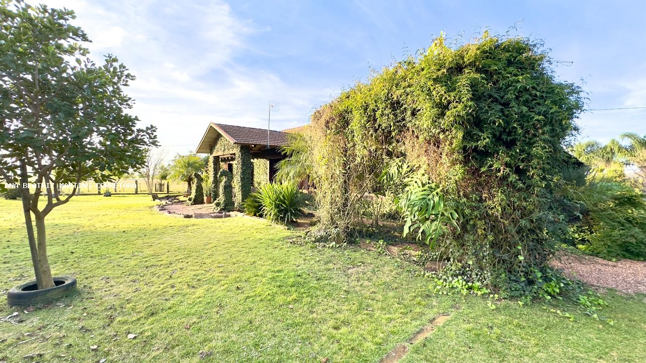 Sítio, 2 quartos, 3 hectares - Foto 36