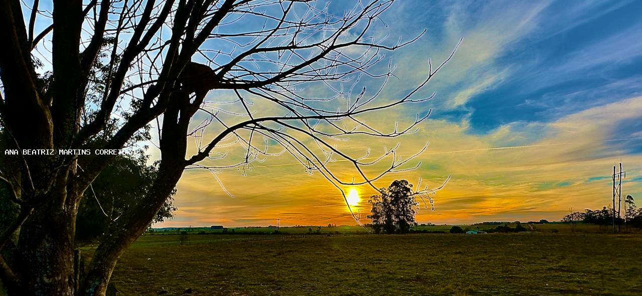 Sítio, 2 quartos, 3 hectares - Foto 40