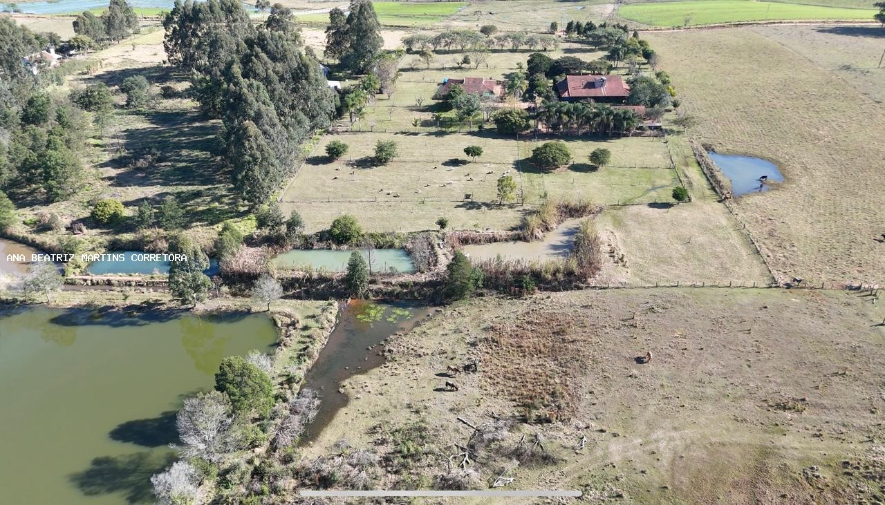 Sítio, 2 quartos, 3 hectares - Foto 14