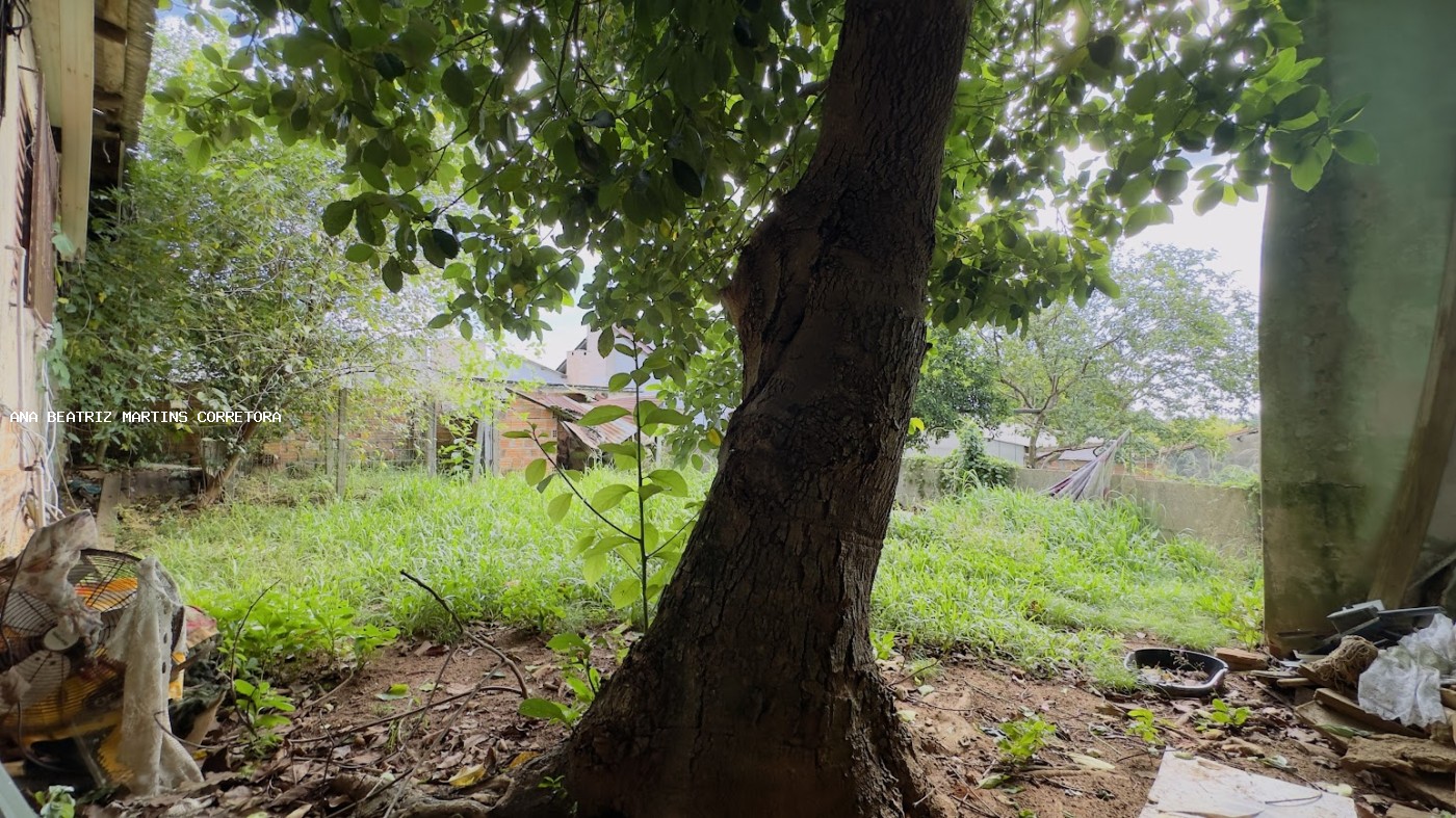 Casa, 3 quartos - Foto 23